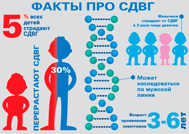 Реферат: Синдром дефицита внимания и гиперактивности у детей